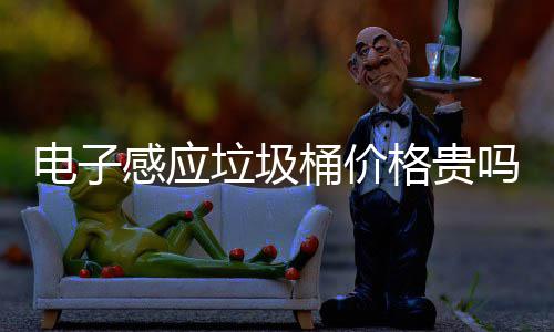 桶价桶好吗电子感应格贵感应用吗智能垃圾垃圾